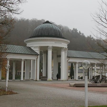 Apartman Karlovarska Mariánské Lázně Exterior foto