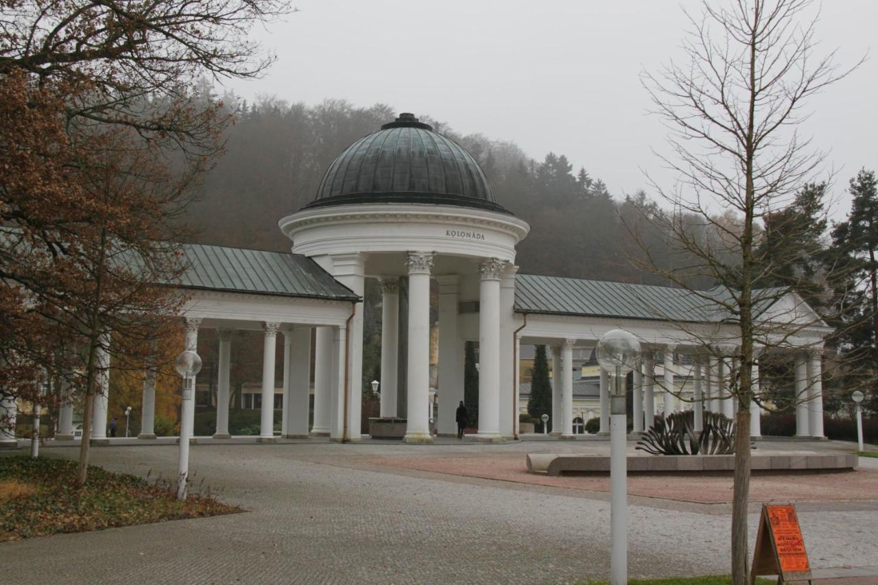 Apartman Karlovarska Mariánské Lázně Exterior foto